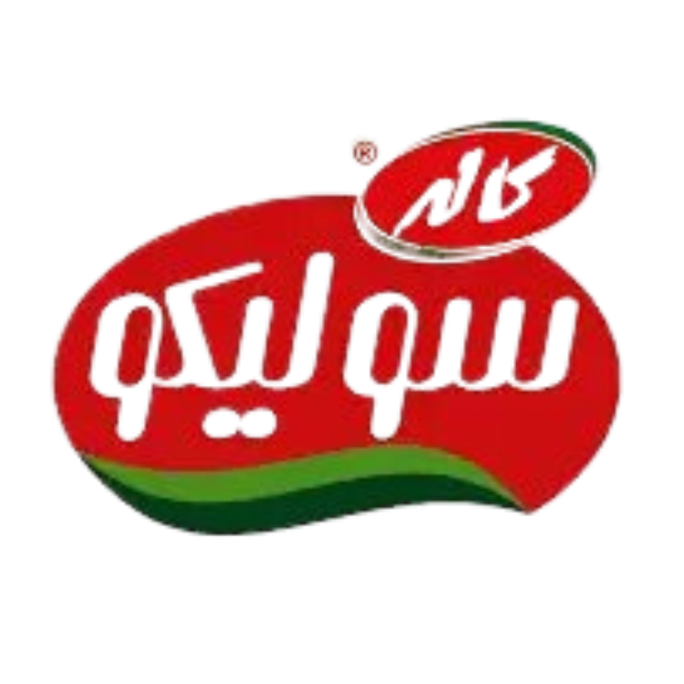 لوگو سولیکو